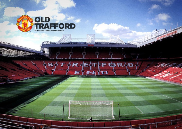 在自己的主 在自己的主