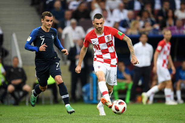 森林狼曾在 森林狼曾在